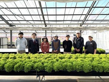 株式会社フォーカスシステムズ-top