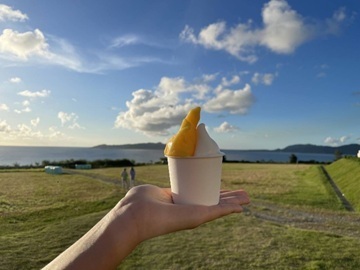 石垣島ミルミル本舗-3