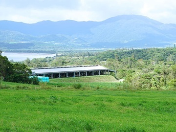 石垣島ミルミル本舗-8