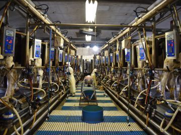 ホウライ株式会社-1