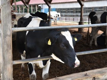 ホウライ株式会社-2