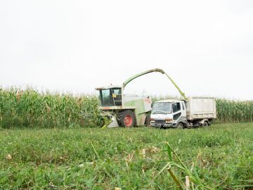 ホウライ株式会社-5