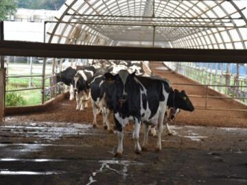 ホウライ株式会社-6