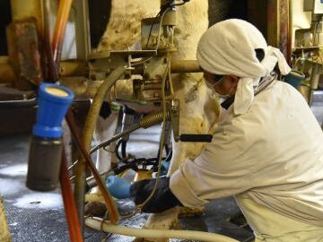 ホウライ株式会社-7