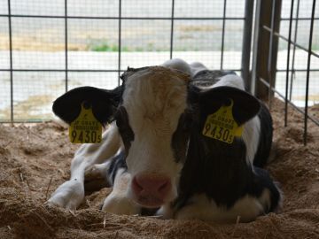 ホウライ株式会社-8