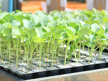 株式会社モリタネ-4