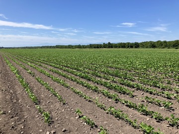 有限会社後藤飼料-1