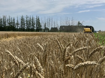 有限会社後藤飼料-2