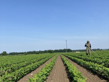 有限会社後藤飼料-4