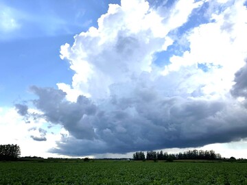 有限会社後藤飼料-8