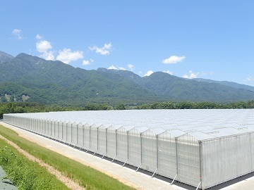 サラダボウルグループ-2