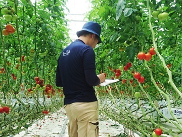 サラダボウルグループ-6