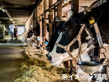 神奈川県横浜市×肉牛・酪農/法人【42003】-2