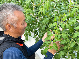 藤原京菜園(株式会社鞄工房山本)-top