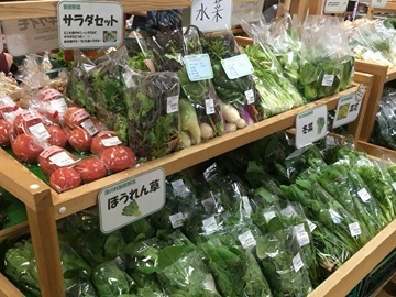 神奈川県清川村×店舗管理/法人【42587】-top