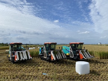 株式会社本新草地(もとしんそうち)-5
