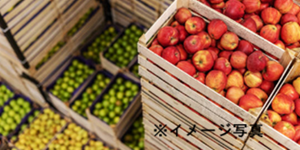 三木フーズ株式会社