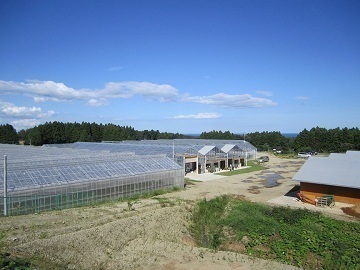 福島県新地町×種苗/法人【35788】-1
