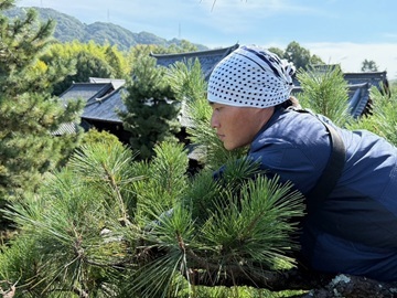 株式会社山田造園