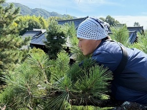 株式会社山田造園-top