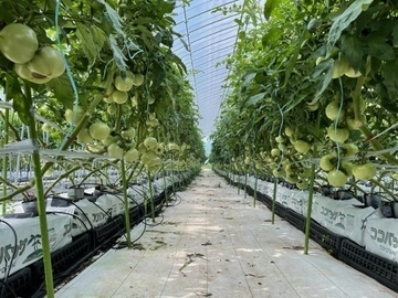 株式会社リコペル-3