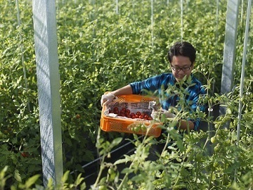 株式会社リコペル-4