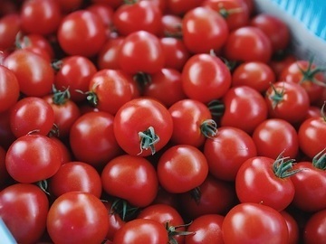 株式会社リコペル-6