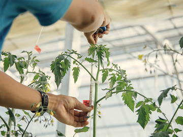 株式会社リコペル-7