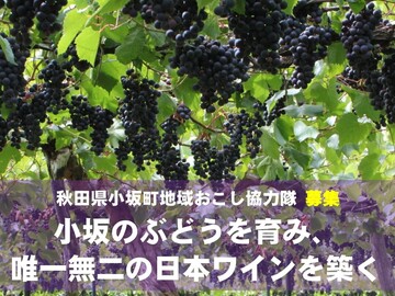 秋田県小坂町 地域おこし協力隊募集-top