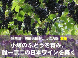 秋田県小坂町 地域おこし協力隊募集-top