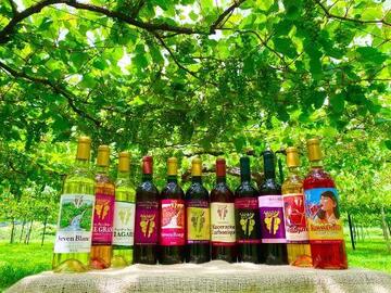 秋田県小坂町 地域おこし協力隊募集-1