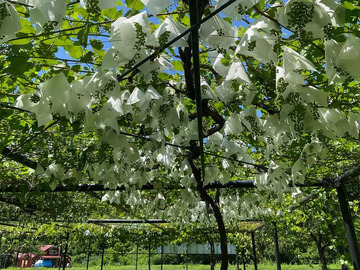 秋田県小坂町 地域おこし協力隊募集-4