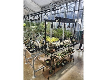 株式会社彩晃-7