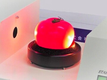 愛知県小牧市×営業/法人【42600】-top