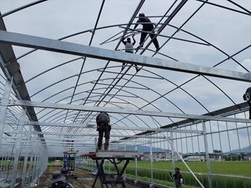 カワシマ種苗株式会社-top