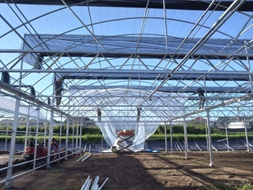 カワシマ種苗株式会社-1