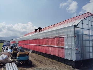 カワシマ種苗株式会社-2