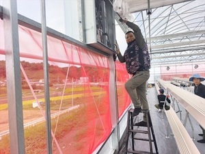 カワシマ種苗株式会社-top