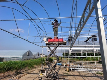 カワシマ種苗株式会社-8