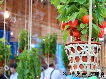 茨城県古河市×観葉・種苗/法人【1839】-1