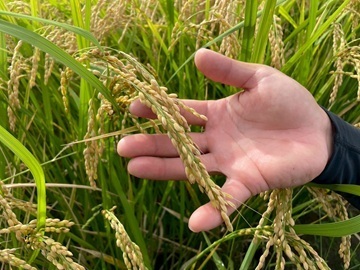 合同会社夢風船-1