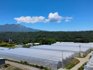 株式会社GRAPE BASE-top