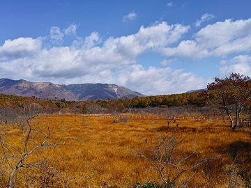 栃木県那須塩原市×酪農/個人【9068】-2