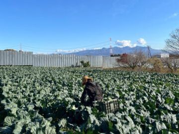 FAR夢わたなべ-3