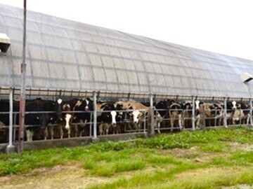 ホウライ株式会社-3