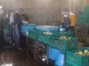 ナカヤ株式会社-top