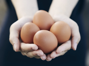 有限会社ナリタファーム-1