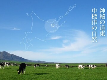 有限会社ラ・レトリなかしべつ-8