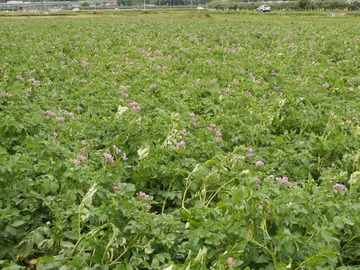 農事組合法人 信州産直組合-4