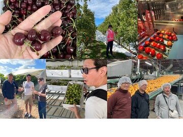 水浅青果株式会社【営業】-top